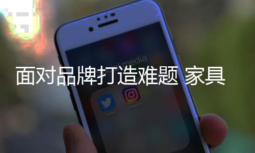品牌在网络营销方面