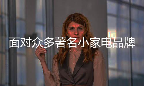 那么作为意向加盟商