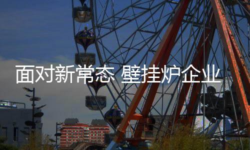 壁挂炉企业该如何把握新常态