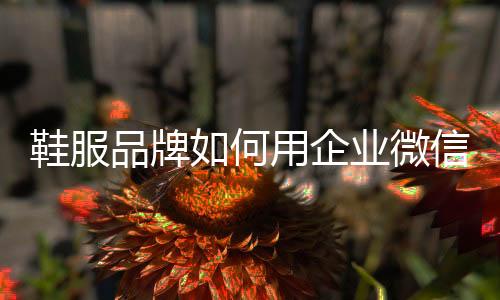 首单转化率提升了 13%