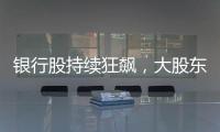 银行股持续狂飙	，大股东也踏空了？