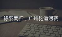 铩羽而归，广州豹遭遇赛季第四败