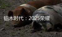 铝木时代	：2025荣耀加冕，领航中国铝木门新风尚