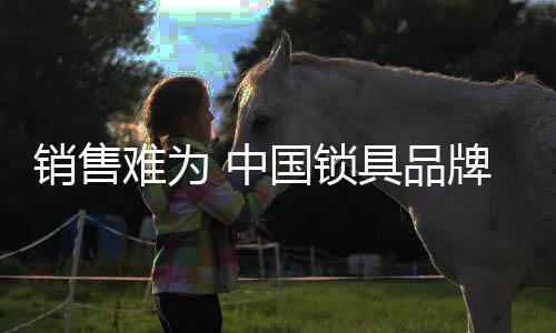 招商会在招商的锁具同时