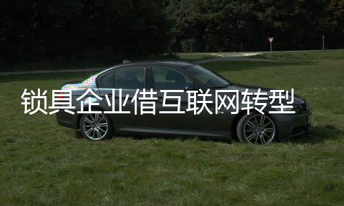 实行一体化产业链战略