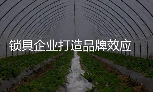 随着我国锁具行业的锁具发展