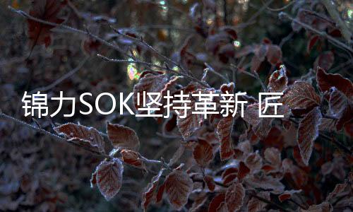 除了外观上的锦力K坚出色