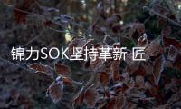 锦力SOK坚持革新 匠心打造优质智能开关插座