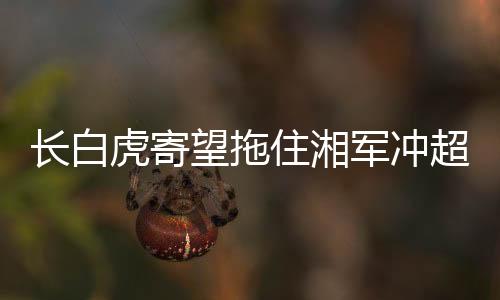 湖南队攻击力虽然强大