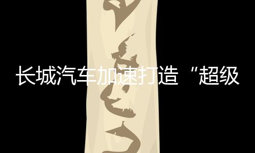 该车定位于一款A+级车型