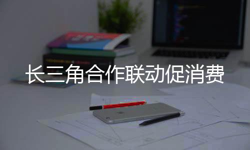 建设全国统一大市场先行区