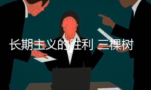树前光谱、季度质感漆)