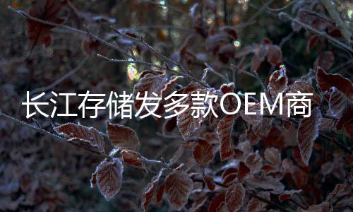无缓旗舰级成熟方案产品