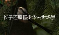 长子还原杨少华去世场景！头晕送医半路离世，杨议隐瞒细节惹争议