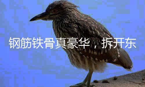 这样的开东“钢筋铁骨”外壳
