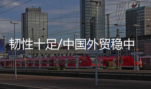 今年中国出口虽面临外需放缓
