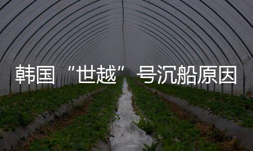 世越审判院方还指出