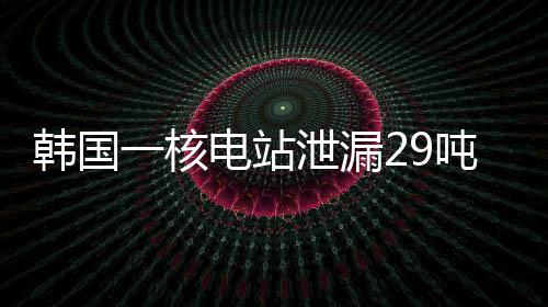 站泄正调排放量约为29吨