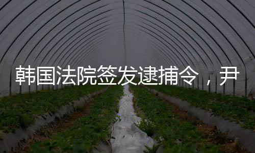 逮捕审议通过特检法
