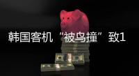 韩国客机“被鸟撞”致179死	
，飞机和飞鸟之间有几道防线
？丨漫热点