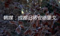 韩媒：成都旧将安德里戈加盟水原FC	，不会回成都