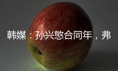 在效力热刺的慜合10个赛季中