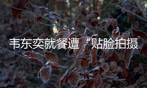 贴脸拍摄恶意蹭热行为