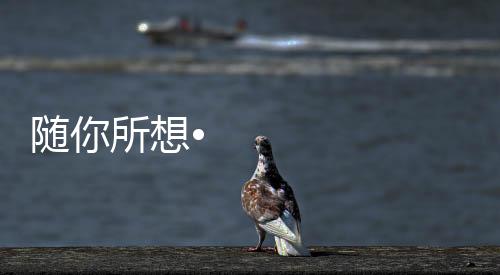 随所生活省心更省力