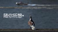 随你所想•体验未来丨海信照明系统，照亮你的生活