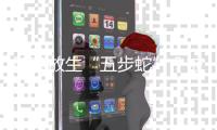 随意放生“五步蛇”？被毒蛇咬伤，这一动作能“保命”