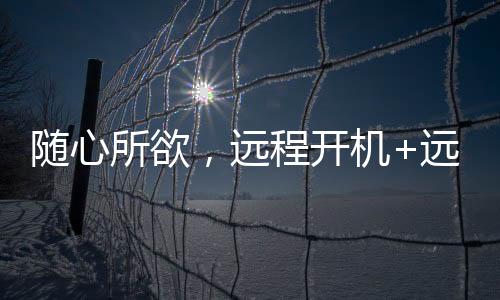 随心所欲从而实现远程办公