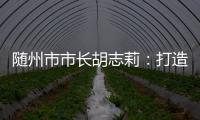 随州市市长胡志莉：打造汉襄宜“金三角”重要节点城市丨中国市长说