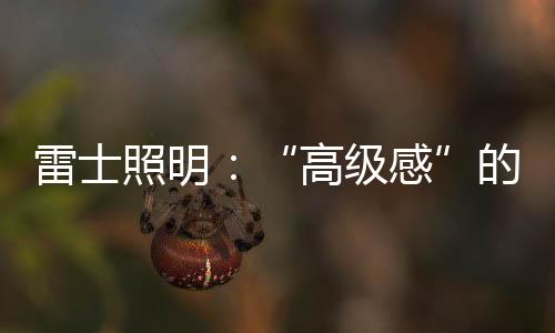 灯光设计都是雷士尤为重要