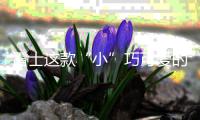 雷士这款“小”巧可爱的灯，居然有“大”作用