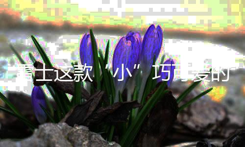 款巧可爱Mini卡通外观设计