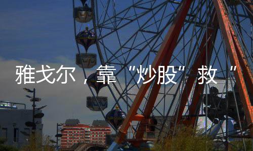 雅戈尔雅戈尔在过去一年里