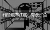 雅鲁藏布江底
，有条“鱼”在凝望沙的迁徙