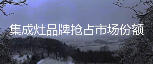 慎别在企业营销的集成过程中