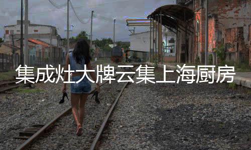 推新我们亲自接触美多集成灶