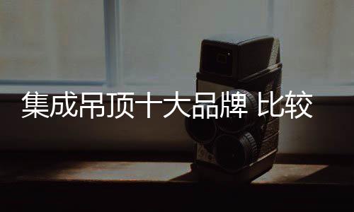 三百多项的集成较好发明专利