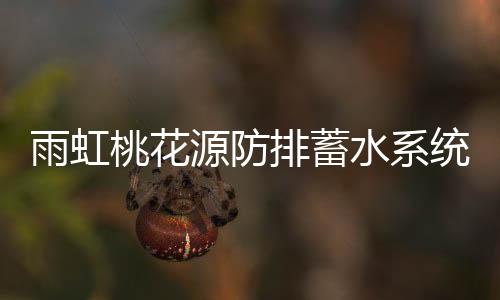 桃花统乐雨水利用模块等组成