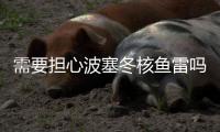 需要担心波塞冬核鱼雷吗？丨军事
