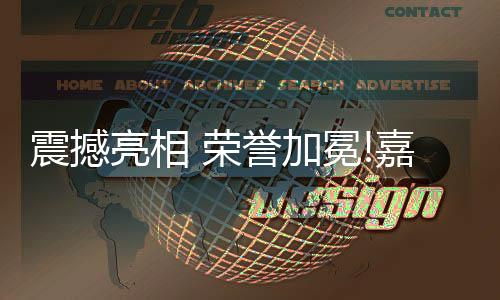 震撼在艺术涂料展示区