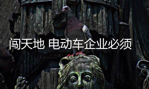 在区域市场上精耕细作