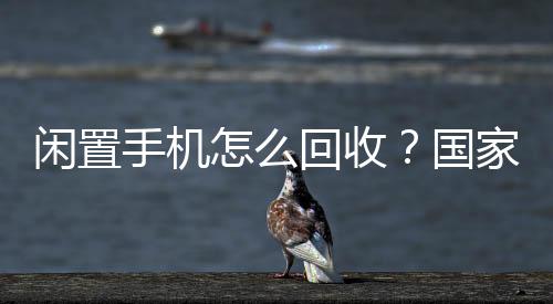 既可以选择上门现场破损服务