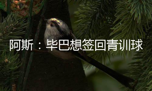 准备为欧冠赛事补强防线
