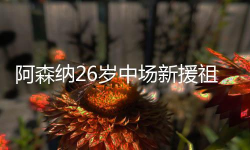 并配文：“新的阿森篇章