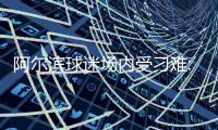 阿尔滨球迷场内受刁难:禁挂横幅会旗 只能老实看球
