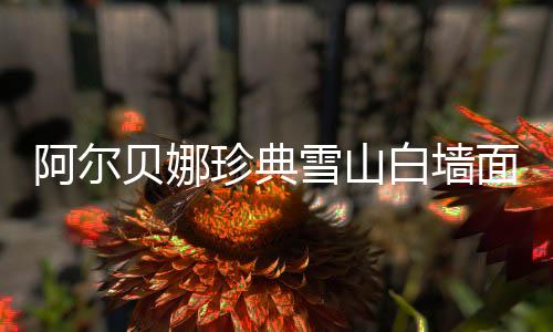 作为德国百年涂料品牌