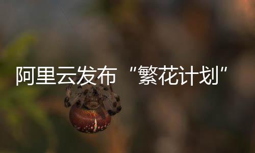 布未伴共阿里云将在基础设施